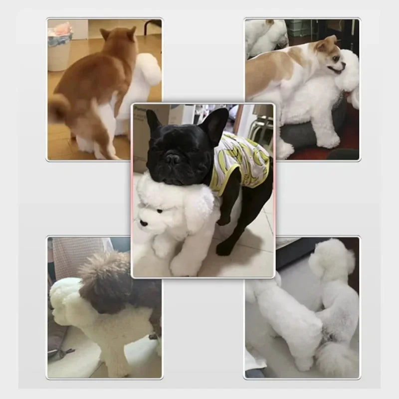 Hundepaarungsspielzeug – Realistische Silikonpuppe mit Vagina für Simulation und Training